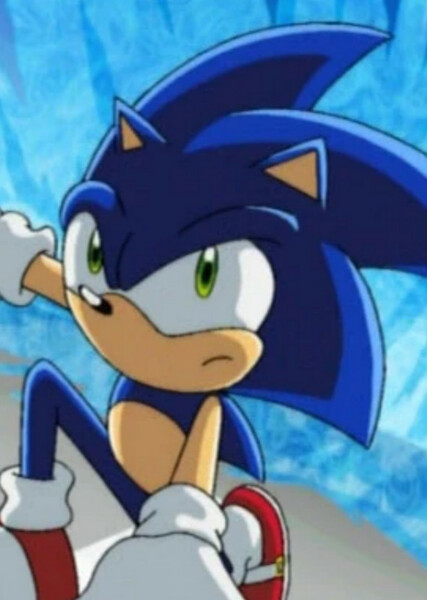 Sonic the Hedgehog (Sonic X) photo