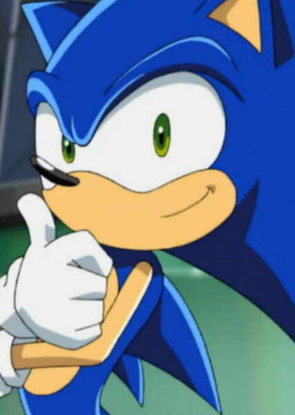 Sonic the Hedgehog (Sonic X) photo