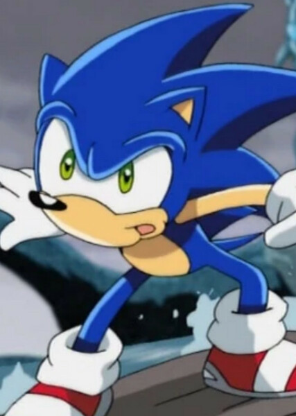 Sonic the Hedgehog (Sonic X) photo