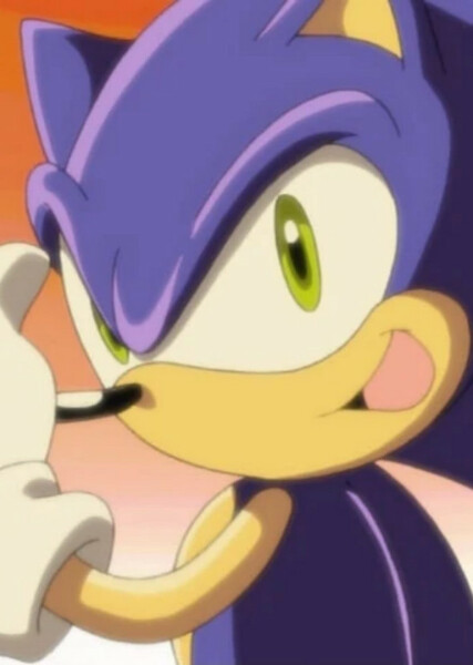 Sonic the Hedgehog (Sonic X) photo