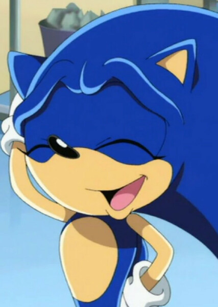 Sonic the Hedgehog (Sonic X) photo