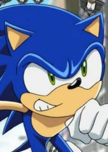 Sonic the Hedgehog (Sonic X) photo