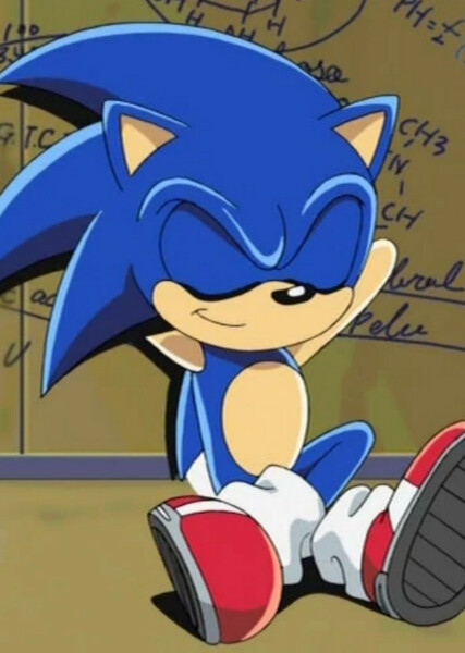 Sonic the Hedgehog (Sonic X) photo