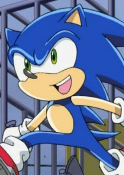 Sonic the Hedgehog (Sonic X) photo