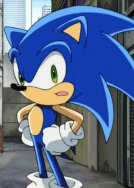 Sonic the Hedgehog (Sonic X) photo