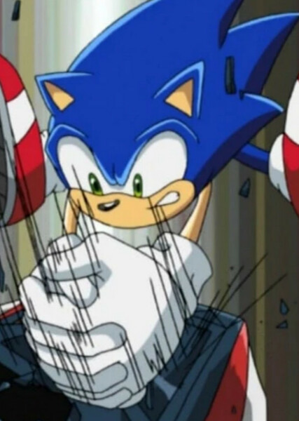 Sonic the Hedgehog (Sonic X) photo