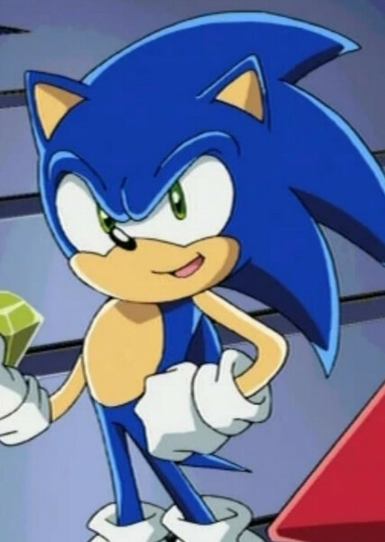 Sonic the Hedgehog (Sonic X) photo