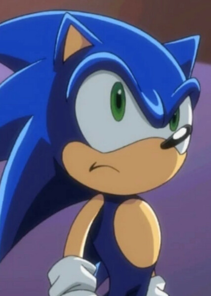 Sonic the Hedgehog (Sonic X) photo