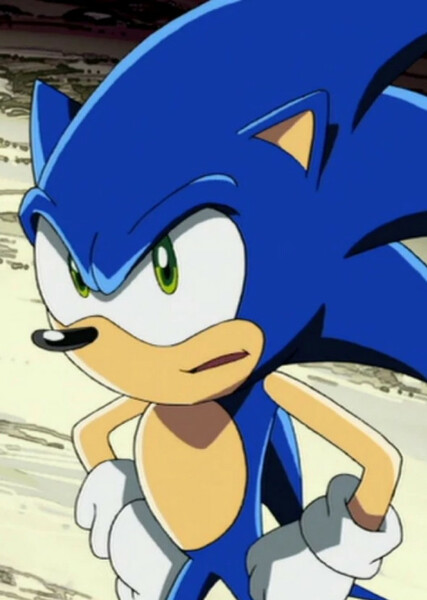 Sonic the Hedgehog (Sonic X) photo
