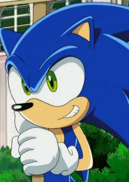 Sonic the Hedgehog (Sonic X) photo