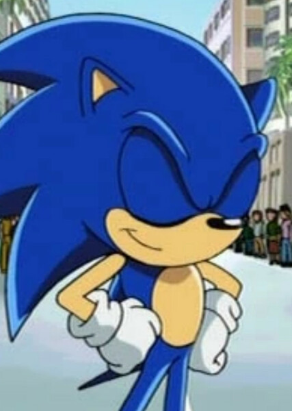 Sonic the Hedgehog (Sonic X) photo