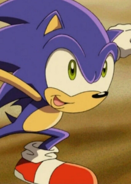 Sonic the Hedgehog (Sonic X) photo