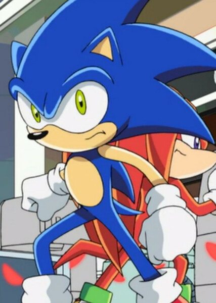 Sonic the Hedgehog (Sonic X) photo