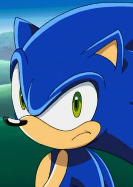 Sonic the Hedgehog (Sonic X) photo