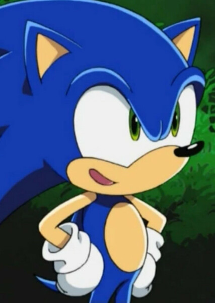 Sonic the Hedgehog (Sonic X) photo