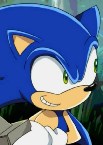 Sonic the Hedgehog (Sonic X) photo