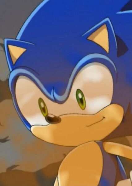Sonic the Hedgehog (Sonic X) photo