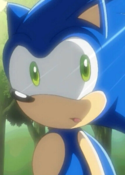 Sonic the Hedgehog (Sonic X) photo