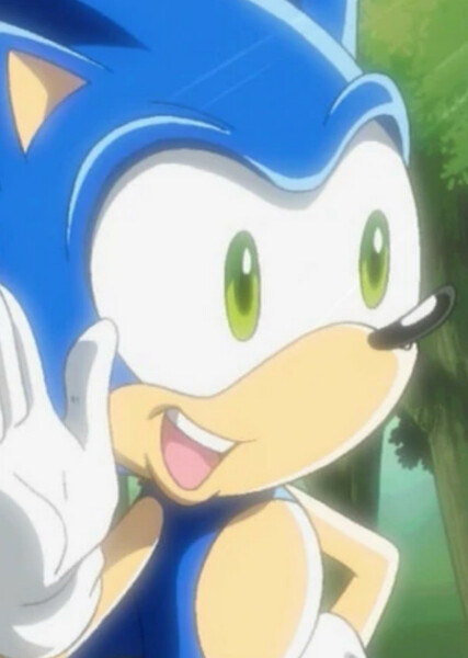Sonic the Hedgehog (Sonic X) photo