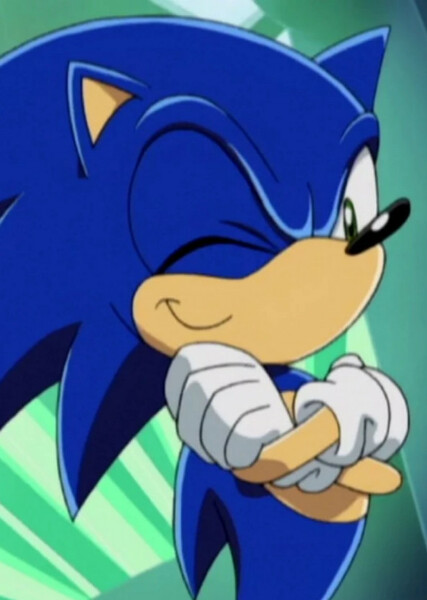 Sonic the Hedgehog (Sonic X) photo