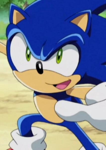 Sonic the Hedgehog (Sonic X) photo
