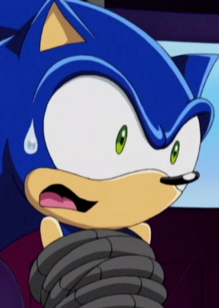 Sonic the Hedgehog (Sonic X) photo