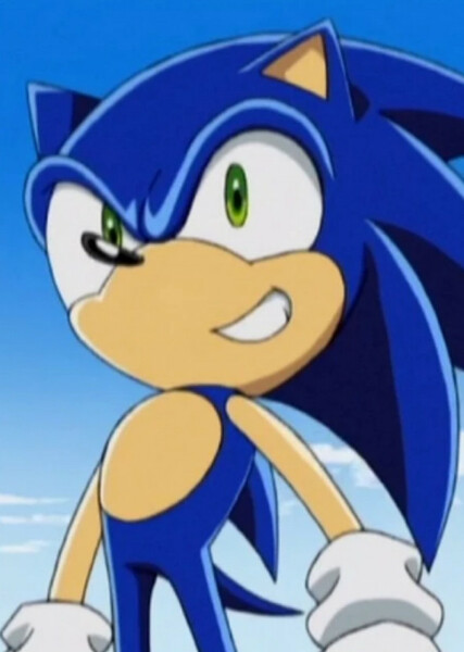Sonic the Hedgehog (Sonic X) photo
