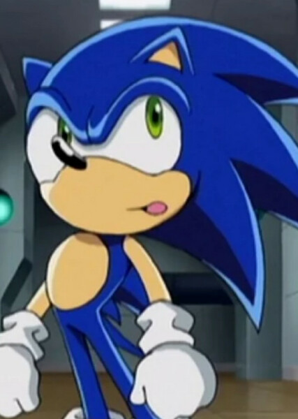 Sonic the Hedgehog (Sonic X) photo