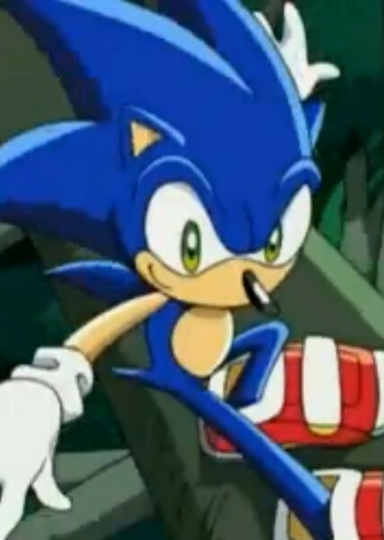 Sonic the Hedgehog (Sonic X) photo
