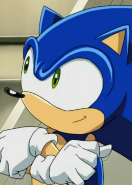 Sonic the Hedgehog (Sonic X) photo