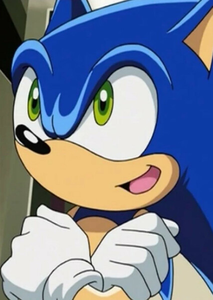 Sonic the Hedgehog (Sonic X) photo