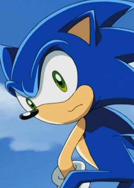 Sonic the Hedgehog (Sonic X) photo