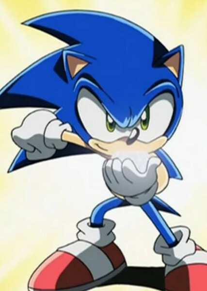 Sonic the Hedgehog (Sonic X) photo