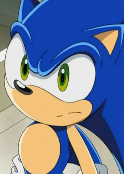 Sonic the Hedgehog (Sonic X) photo