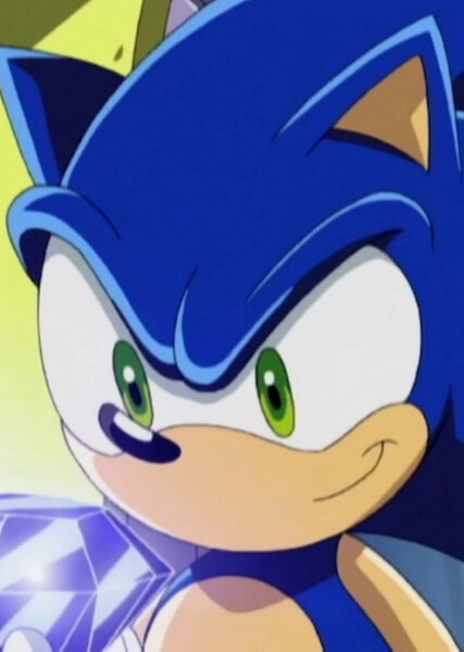 Sonic the Hedgehog (Sonic X) photo