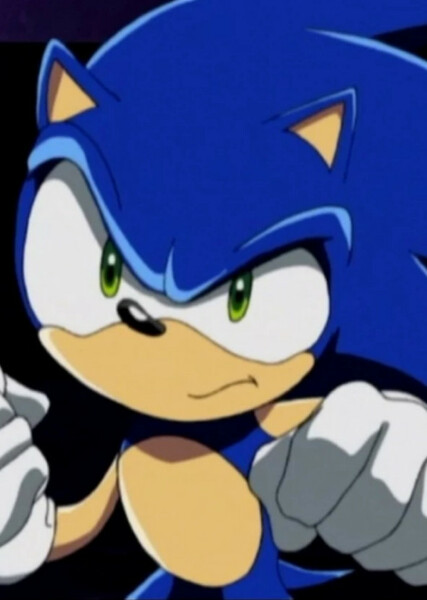 Sonic the Hedgehog (Sonic X) photo