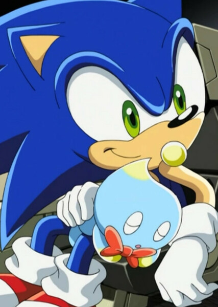 Sonic the Hedgehog (Sonic X) photo