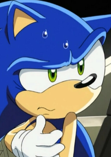 Sonic the Hedgehog (Sonic X) photo