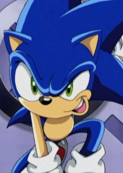 Sonic the Hedgehog (Sonic X) photo
