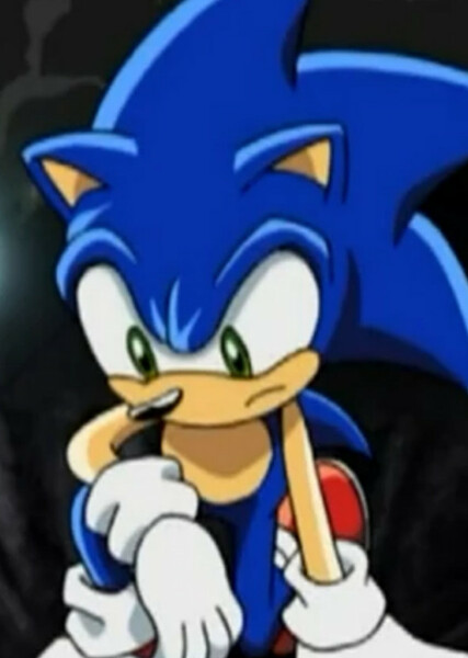 Sonic the Hedgehog (Sonic X) photo