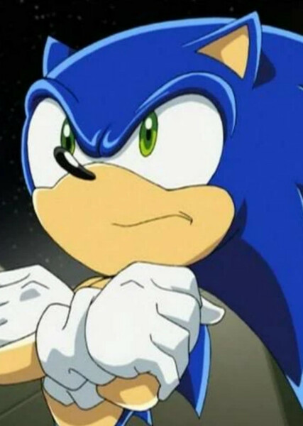 Sonic the Hedgehog (Sonic X) photo