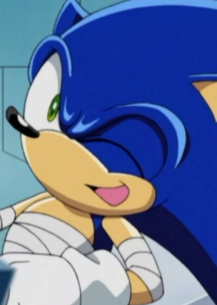 Sonic the Hedgehog (Sonic X) photo