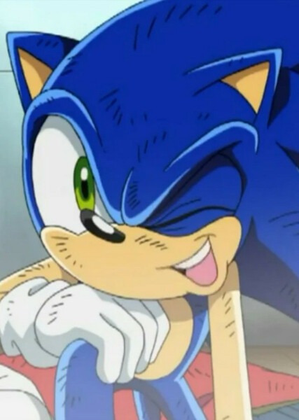Sonic the Hedgehog (Sonic X) photo