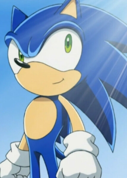 Sonic the Hedgehog (Sonic X) photo