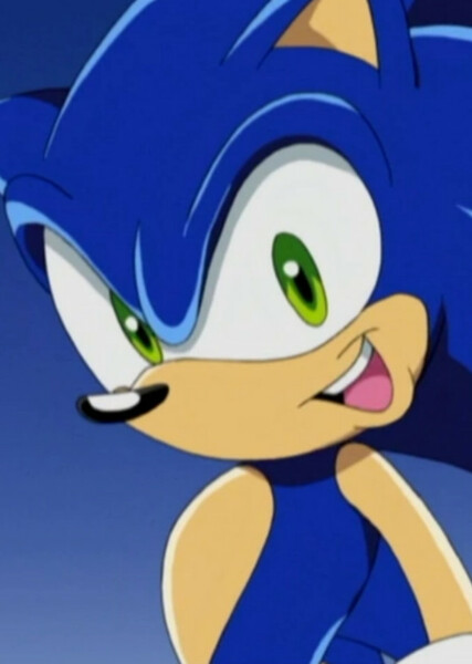 Sonic the Hedgehog (Sonic X) photo