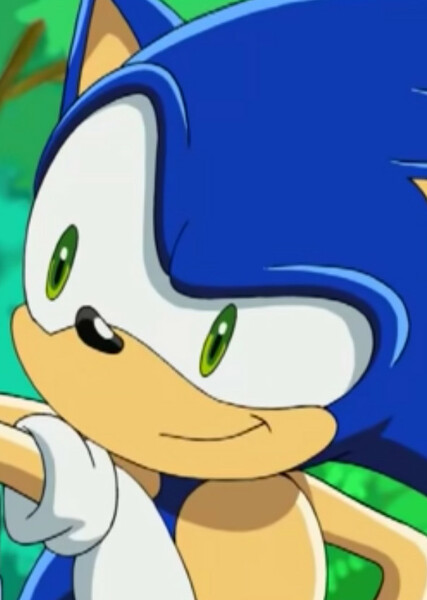 Sonic the Hedgehog (Sonic X) photo