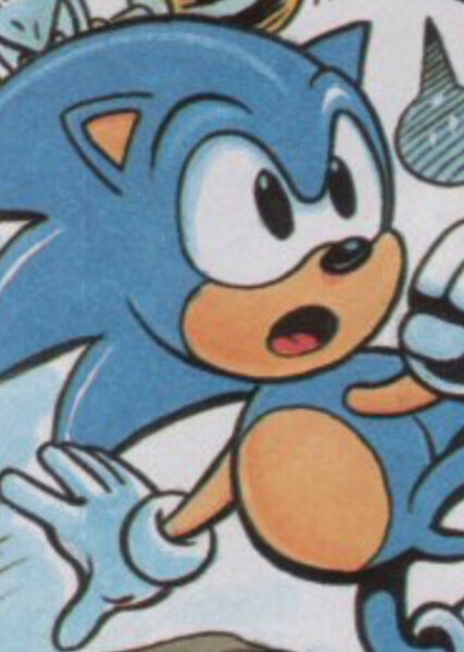 Sonic the Hedgehog (StC) photo