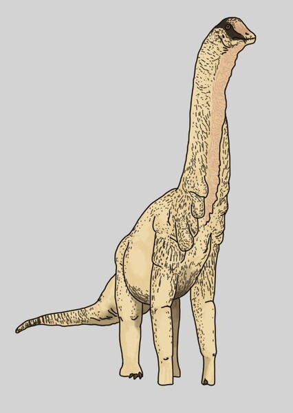 Sonorasaurus Paddock