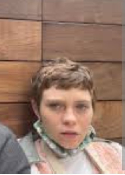 Sophia Lillis photo