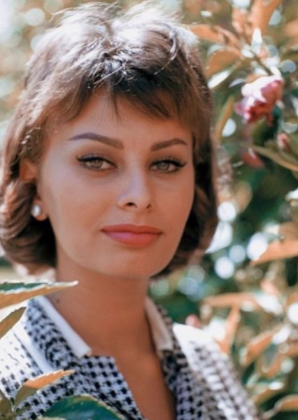 Sophia Loren photo